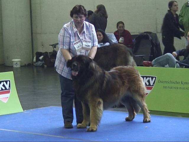 Salzburg Clubschau Mai 06 093 